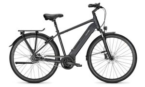 Raleigh Bristol 8
