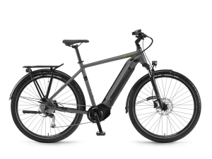 Winora Sinus ix10 