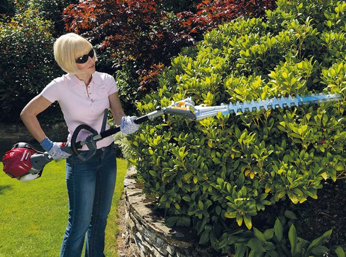 Elektrische Heckenschere sorgt für formschöne Büsche im Garten