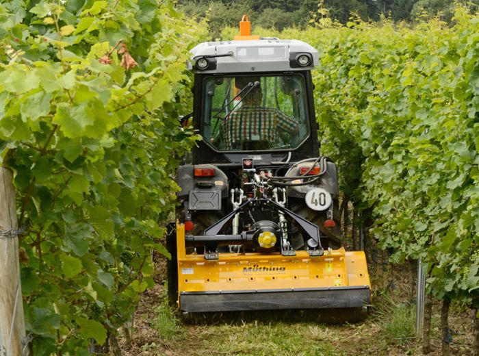 Traktor im Einsatz in einem Weinberg von Muething W, der die Reben für die bevorstehende Ernte pflegt