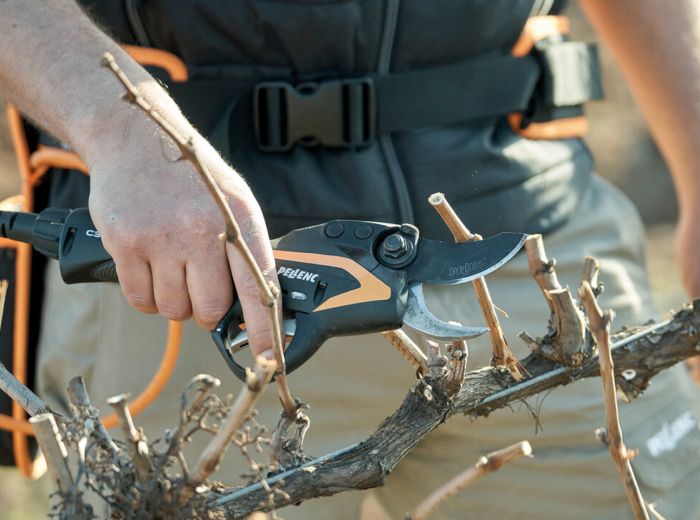 Pellen Akku Schere  wird genutzt um Äste präzise zu schneiden